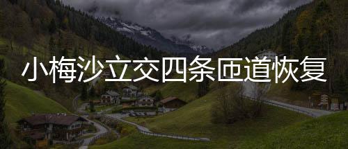 小梅道恢条匝复通交四车沙立